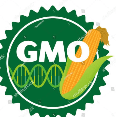 GMO Certified